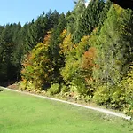 ホテル Alpenhof Strenge
