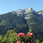 ホテル Alpenhof Strenge
