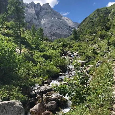 Alpenhof Strenge Birnbaum