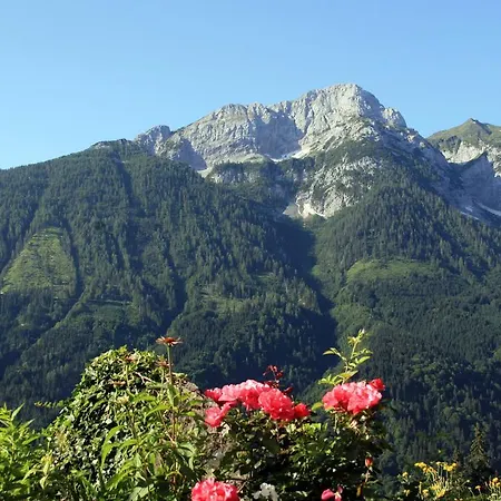 Hotel Alpenhof Strenge