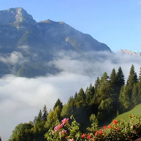 Alpenhof Strenge Birnbaum