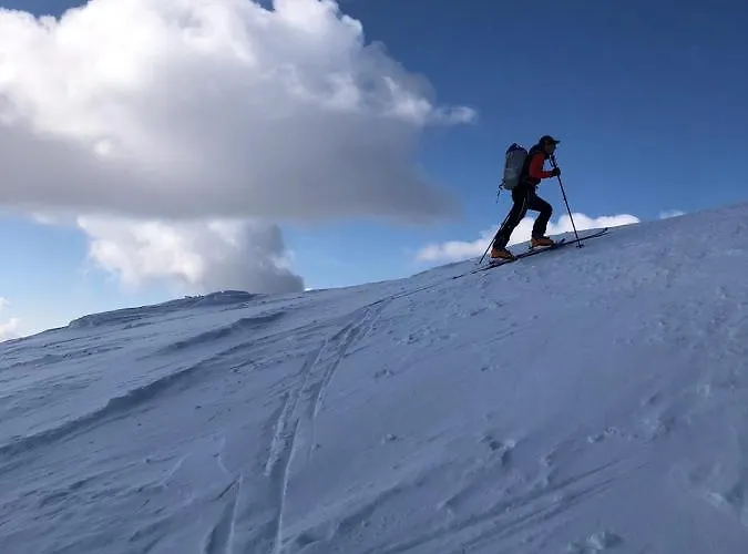 阿尔分霍夫思琪那纳酒店 酒店 伯恩鲍姆