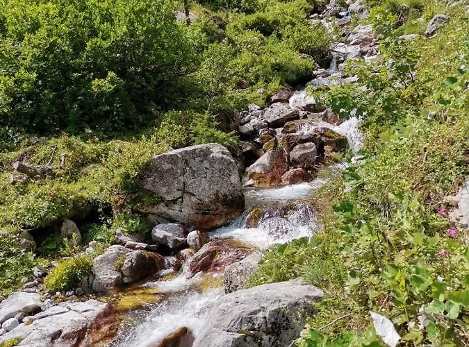 酒店 阿尔分霍夫思琪那纳酒店