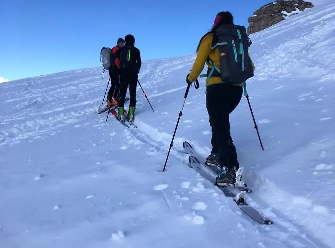 阿尔分霍夫思琪那纳酒店
