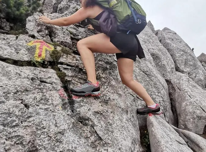 阿尔分霍夫思琪那纳酒店 酒店 3*