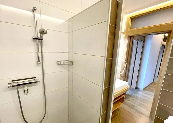 阿尔分霍夫思琪那纳酒店 3* 伯恩鲍姆