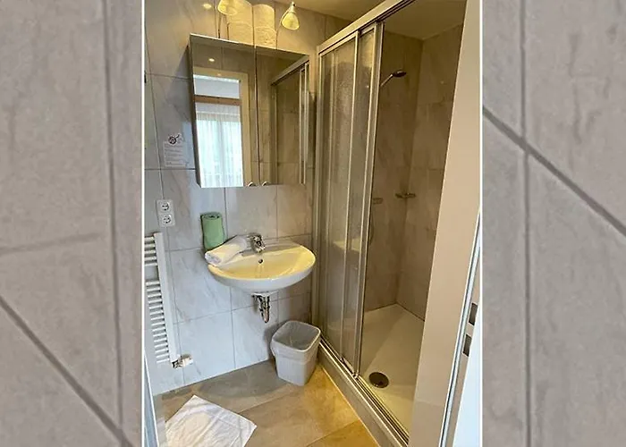 阿尔分霍夫思琪那纳酒店 3* 伯恩鲍姆