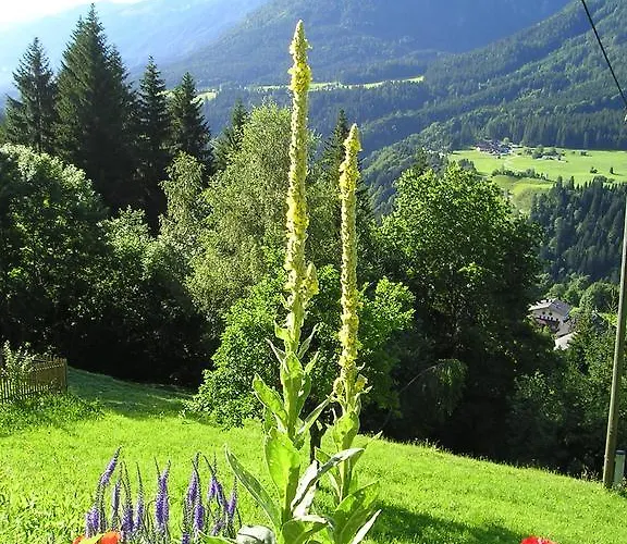 מלון Alpenhof Strenge