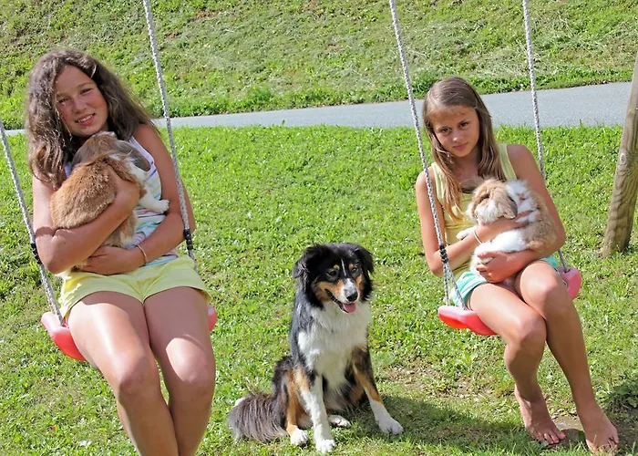 阿尔分霍夫思琪那纳酒店 3* 伯恩鲍姆