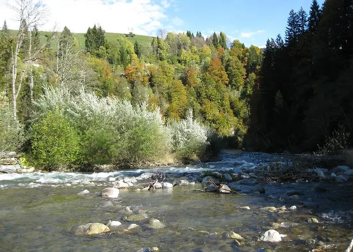 酒店 阿尔分霍夫思琪那纳酒店