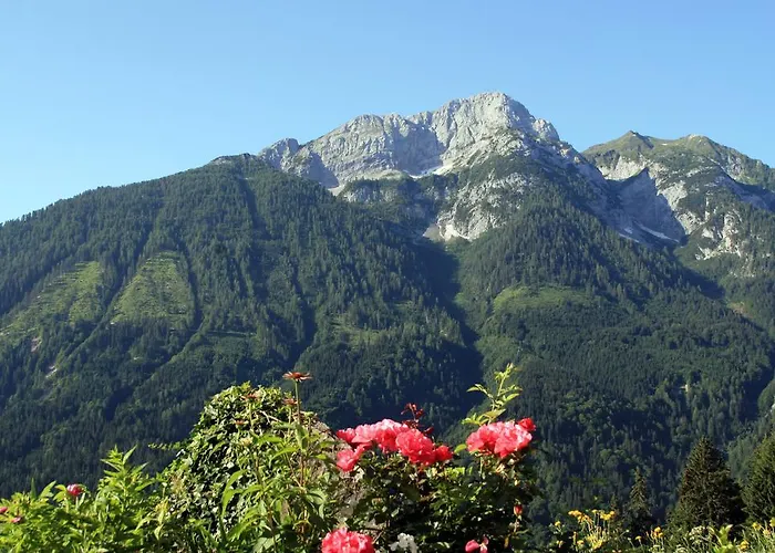 酒店 阿尔分霍夫思琪那纳酒店