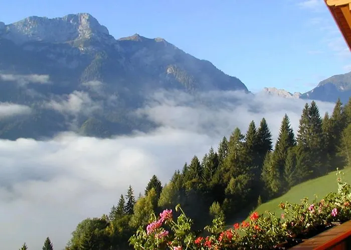 阿尔分霍夫思琪那纳酒店 伯恩鲍姆