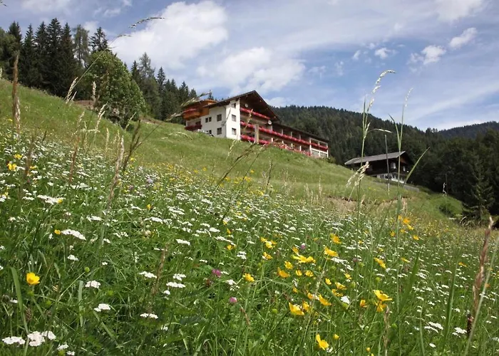 酒店 阿尔分霍夫思琪那纳酒店